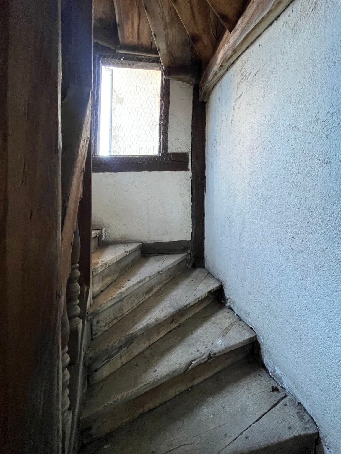 Image 11