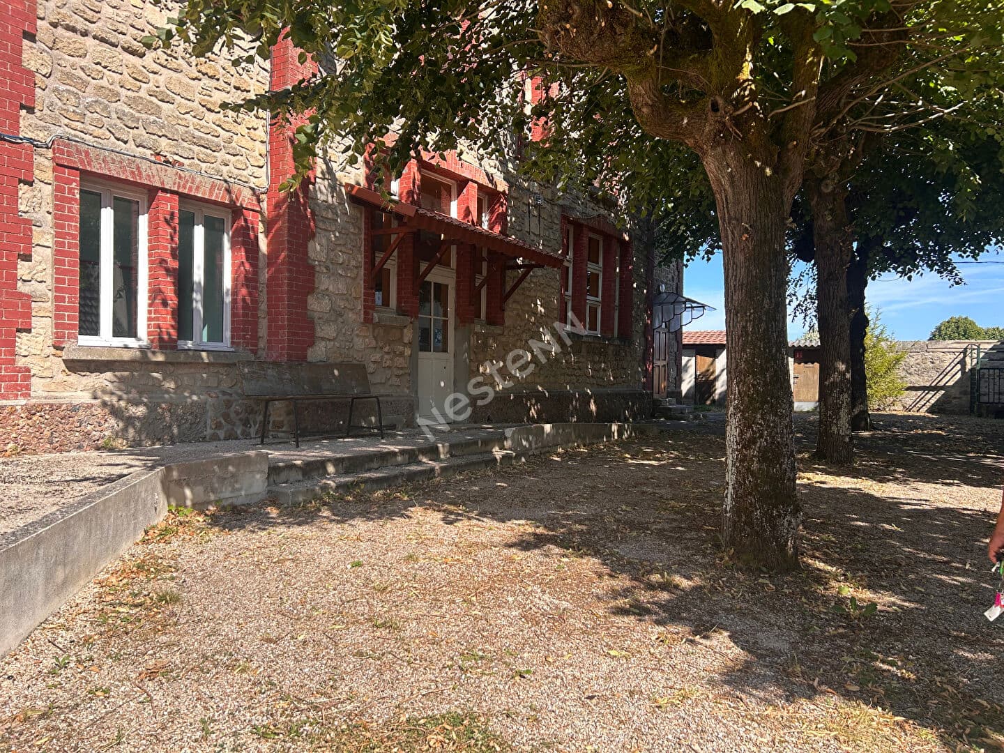 Image 5