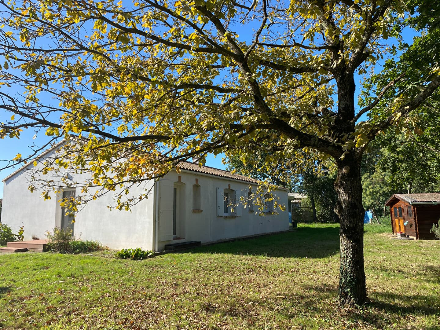 Image 13