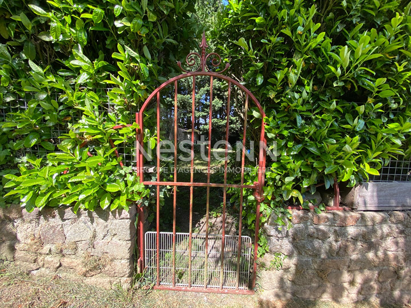 Image 10