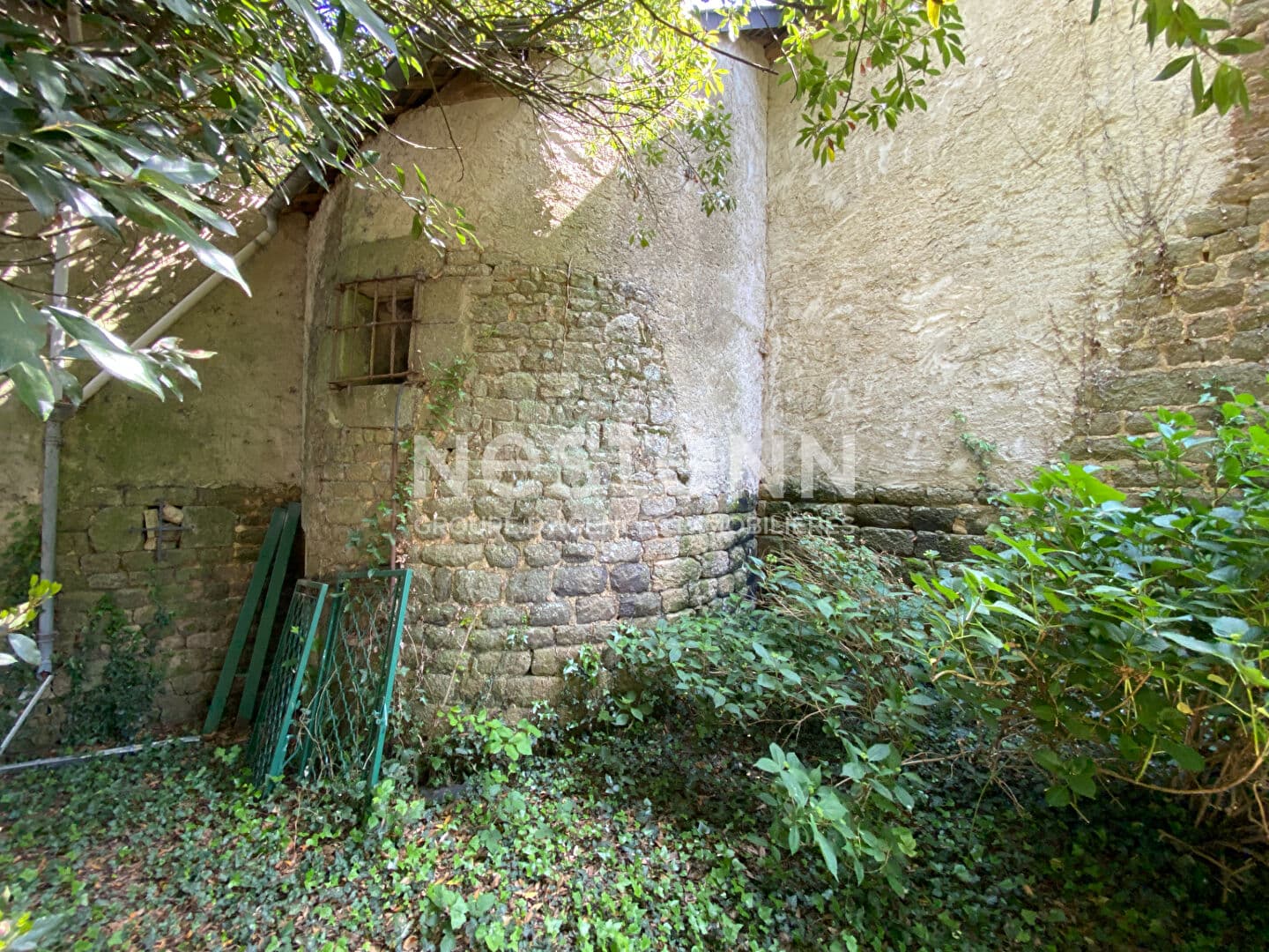 Image 11