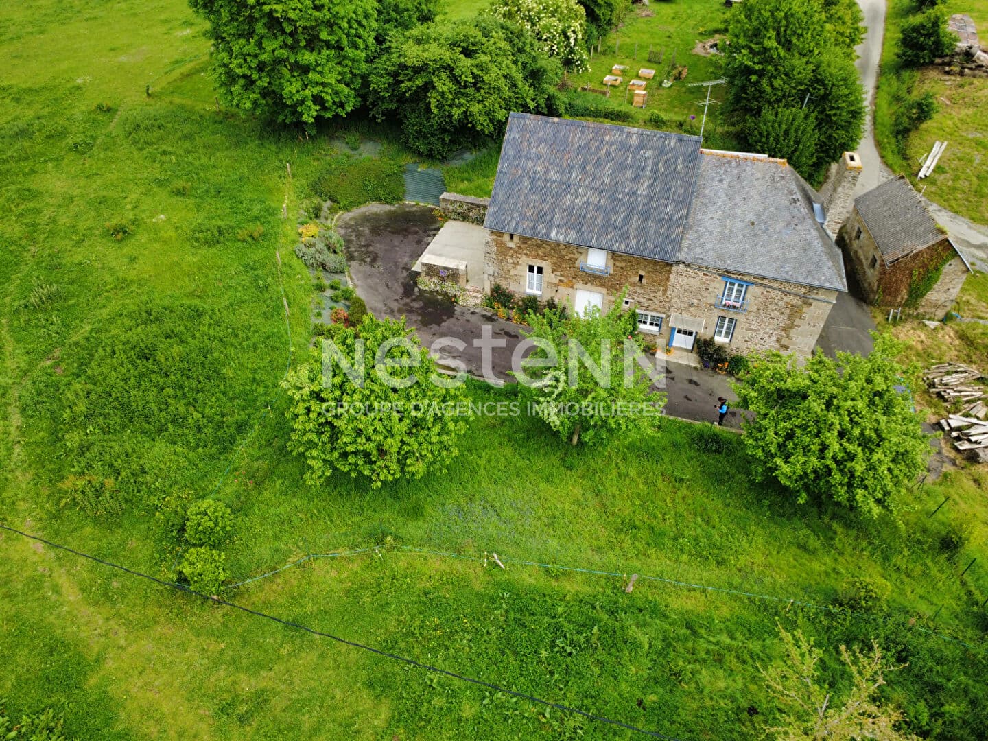 Image 15