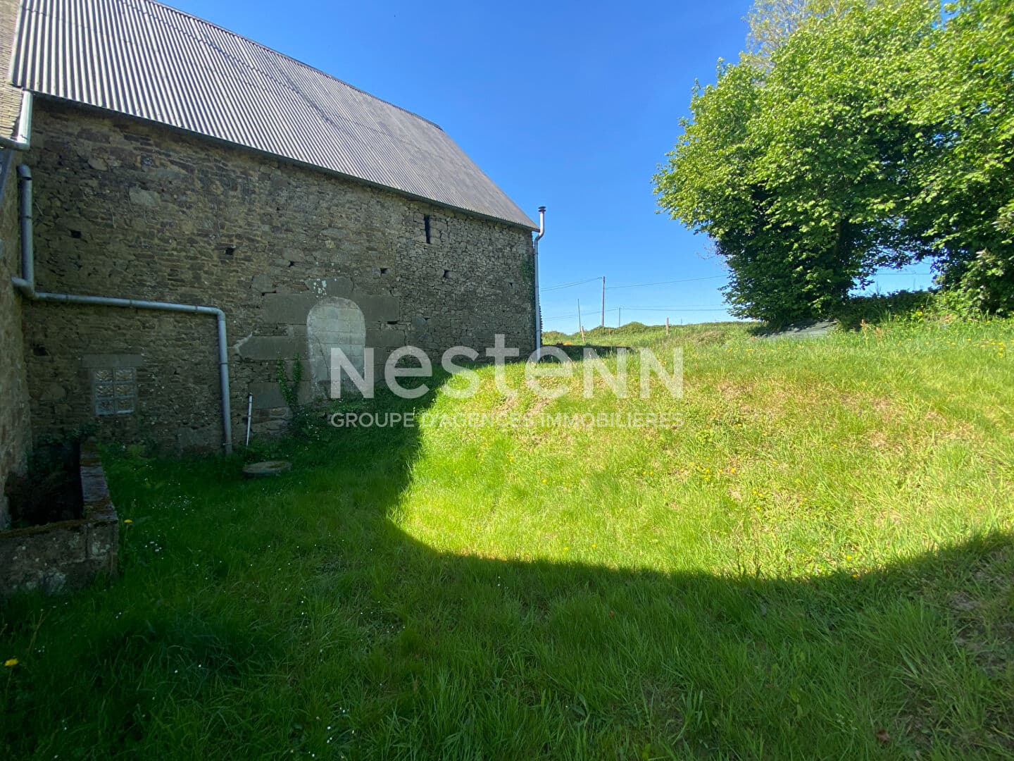 Image 19
