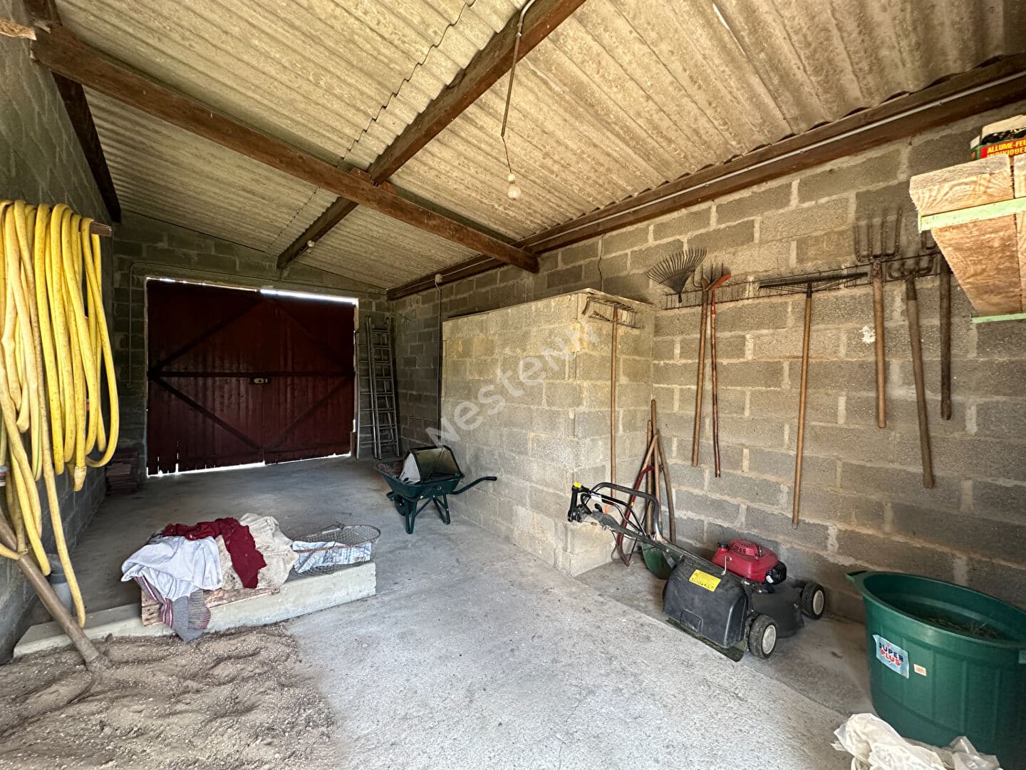 Image 15