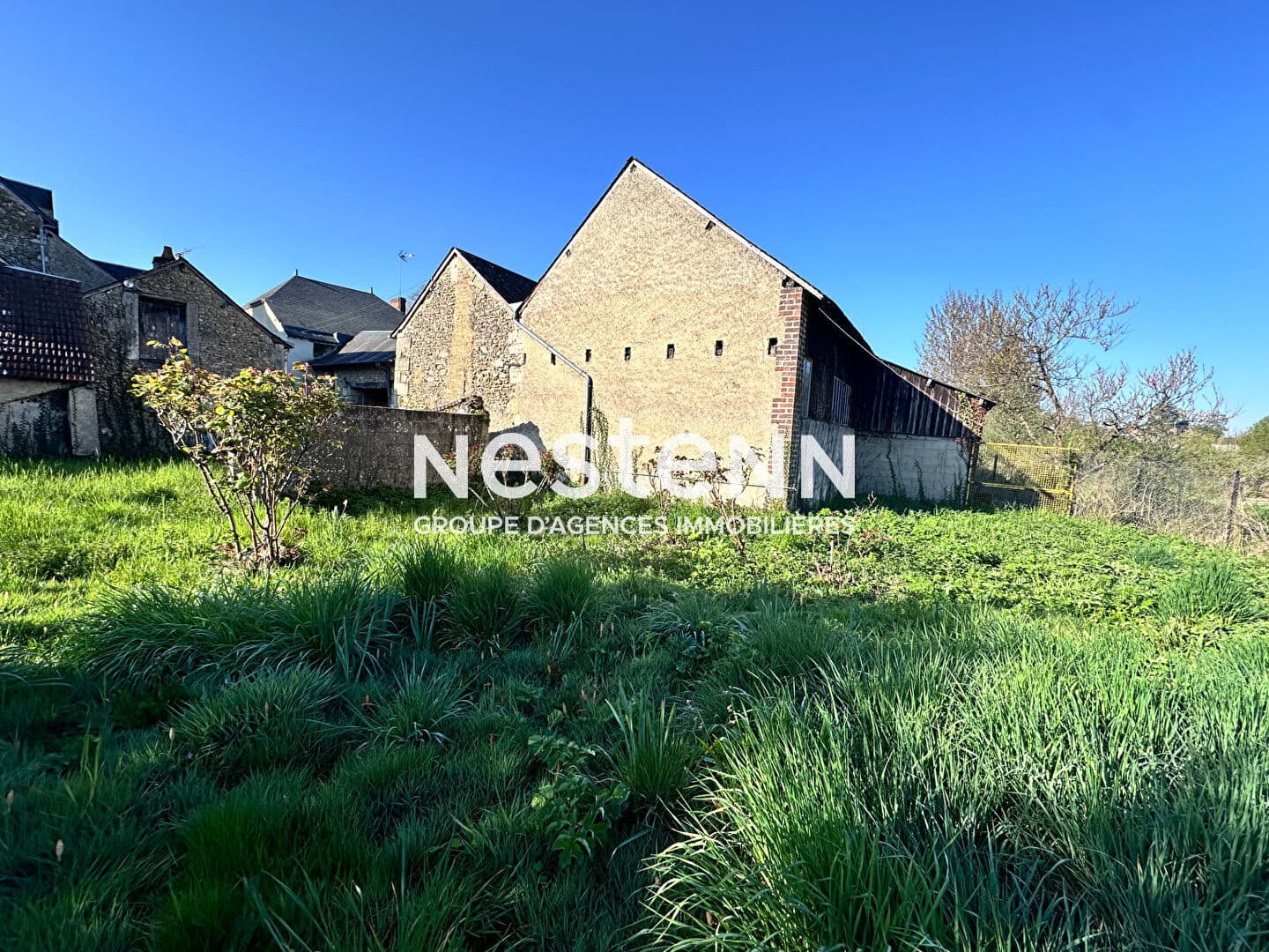Image 12