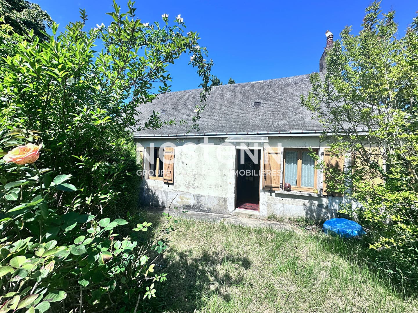 Image 11