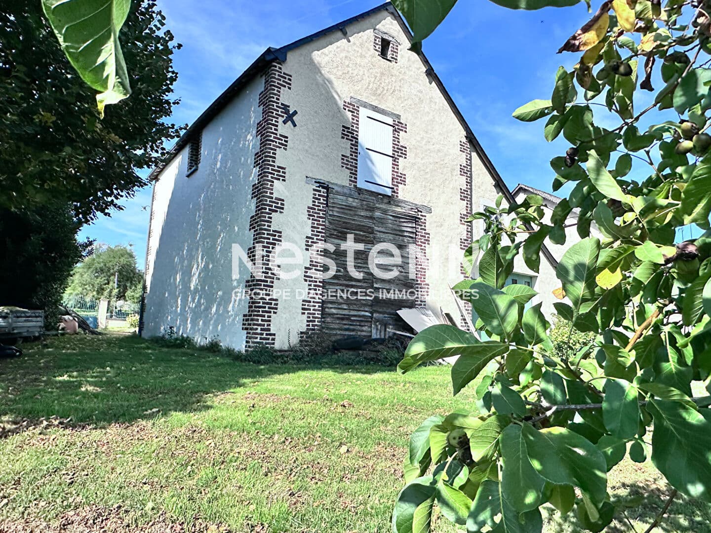 Image 12