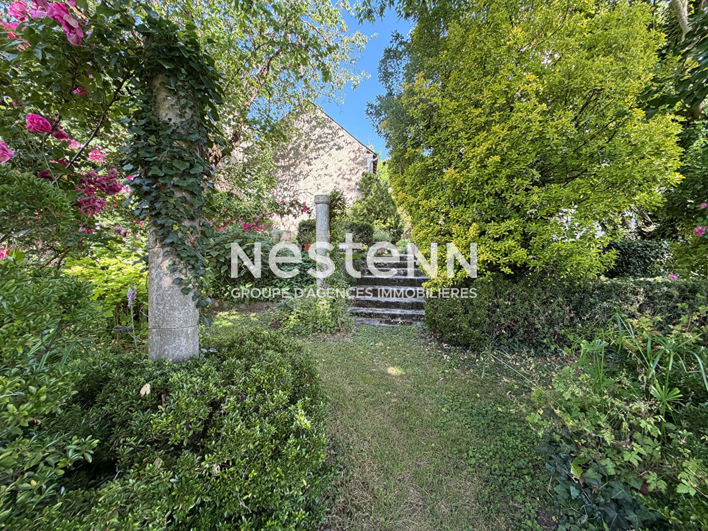 Image 15