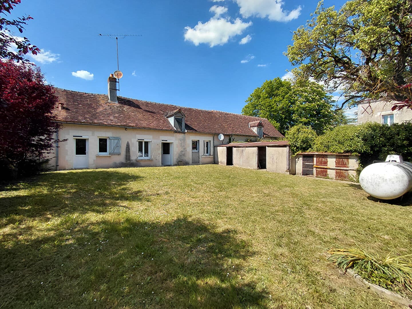 Image 13