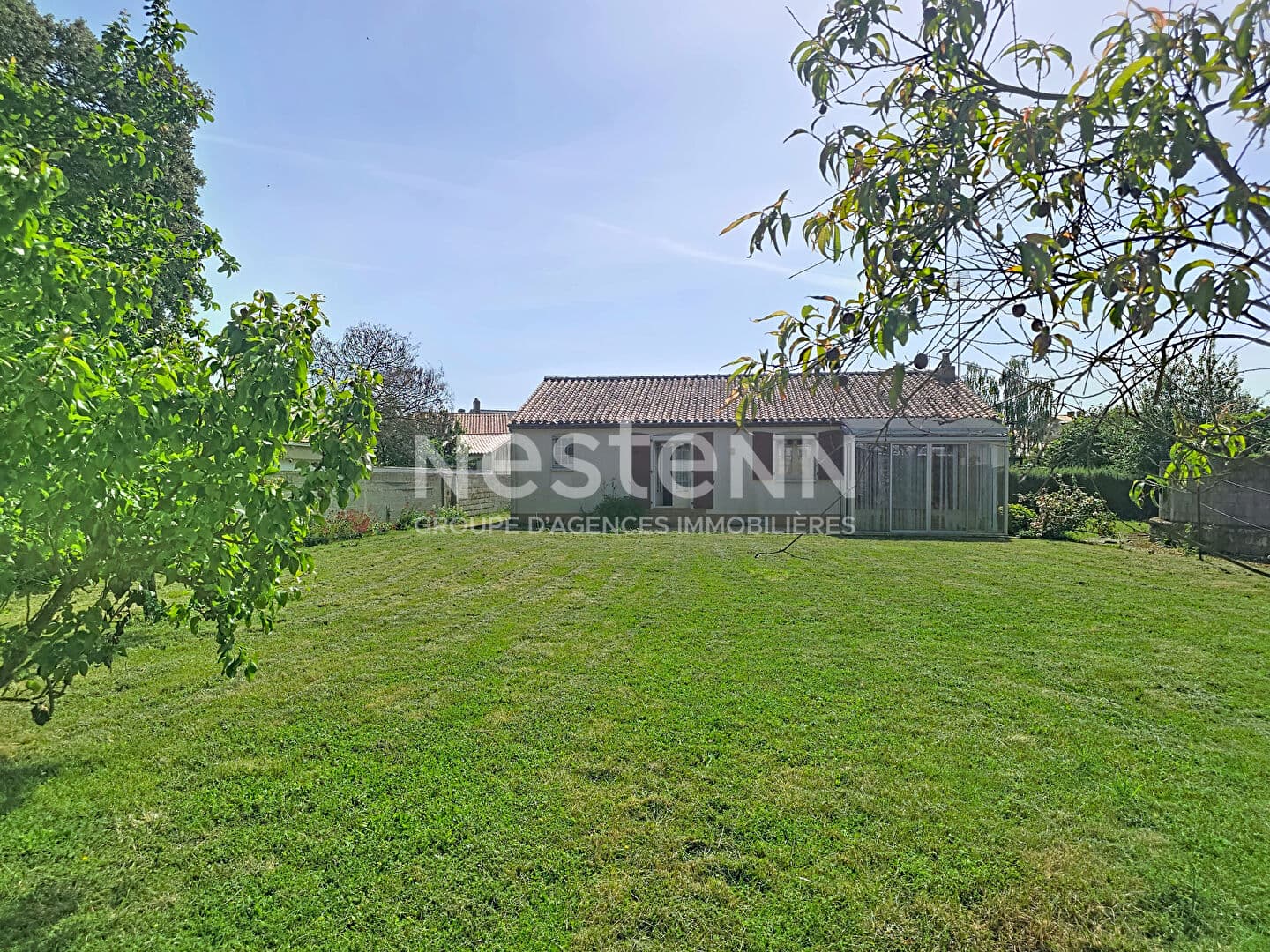 Image 15