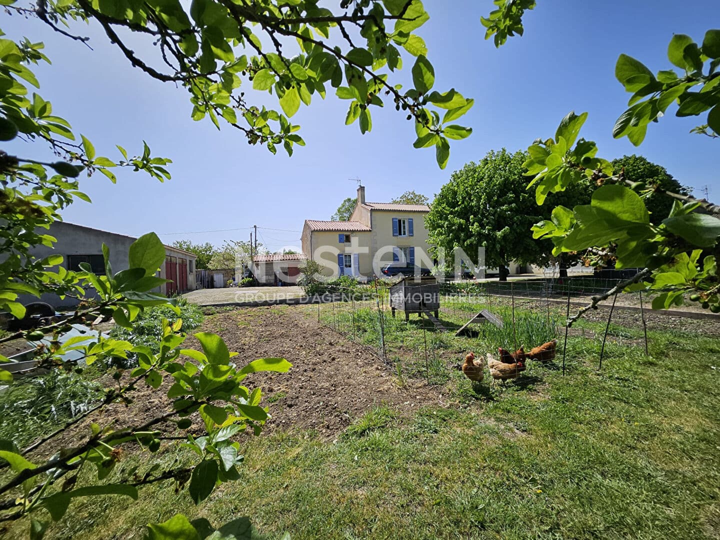 Image 12