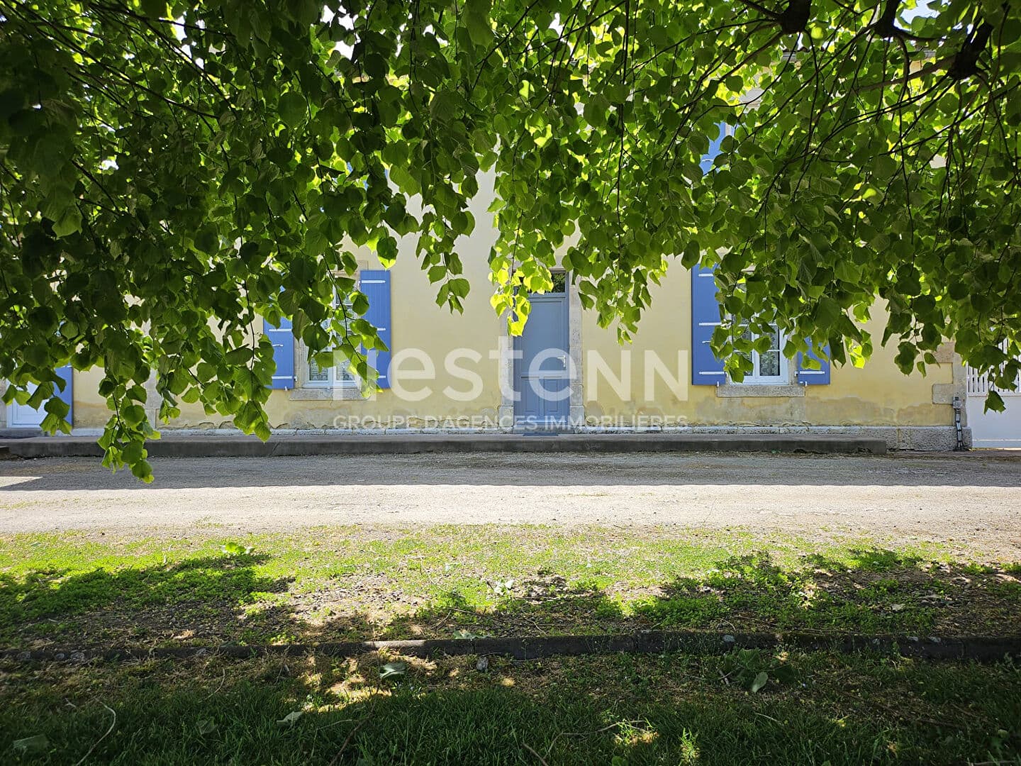 Image 13