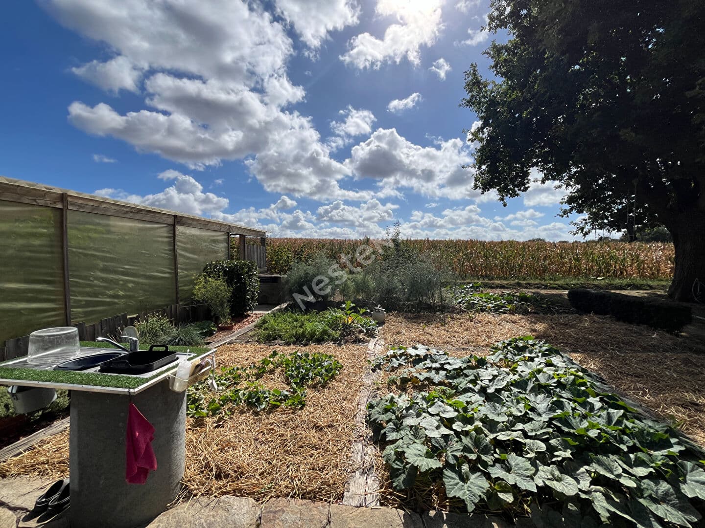 Image 20