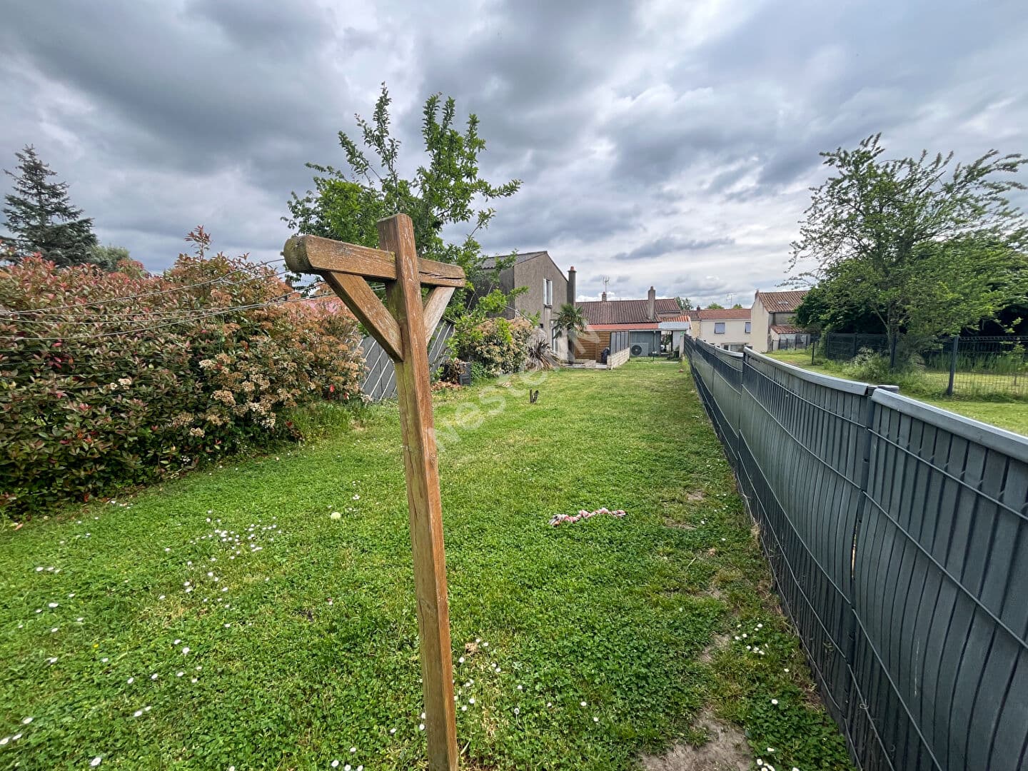 Image 19
