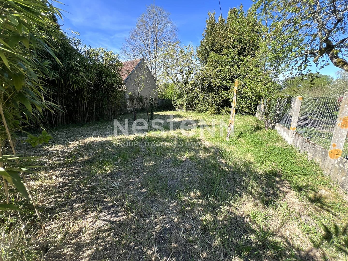 Image 12