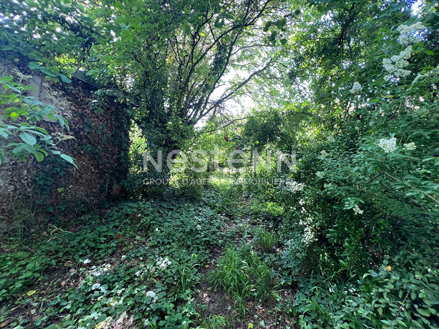 Image 9