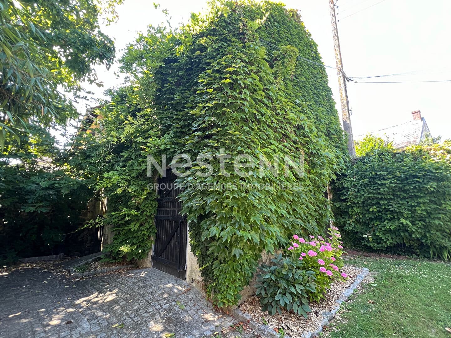 Image 13