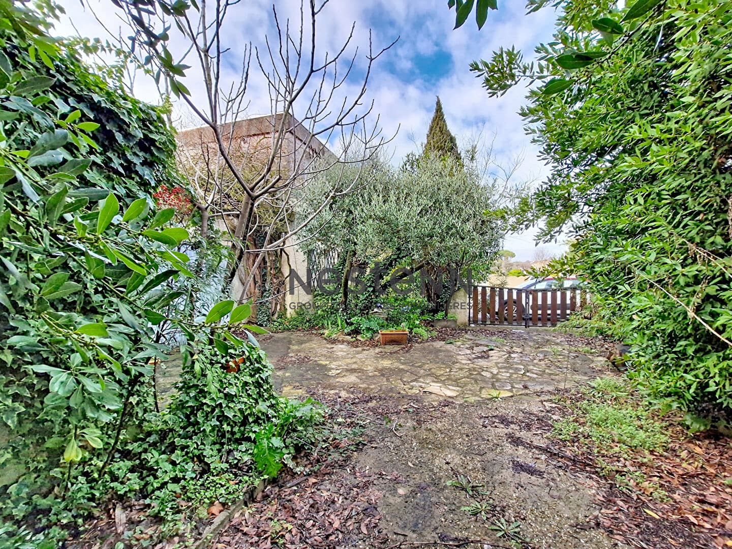 Image 21