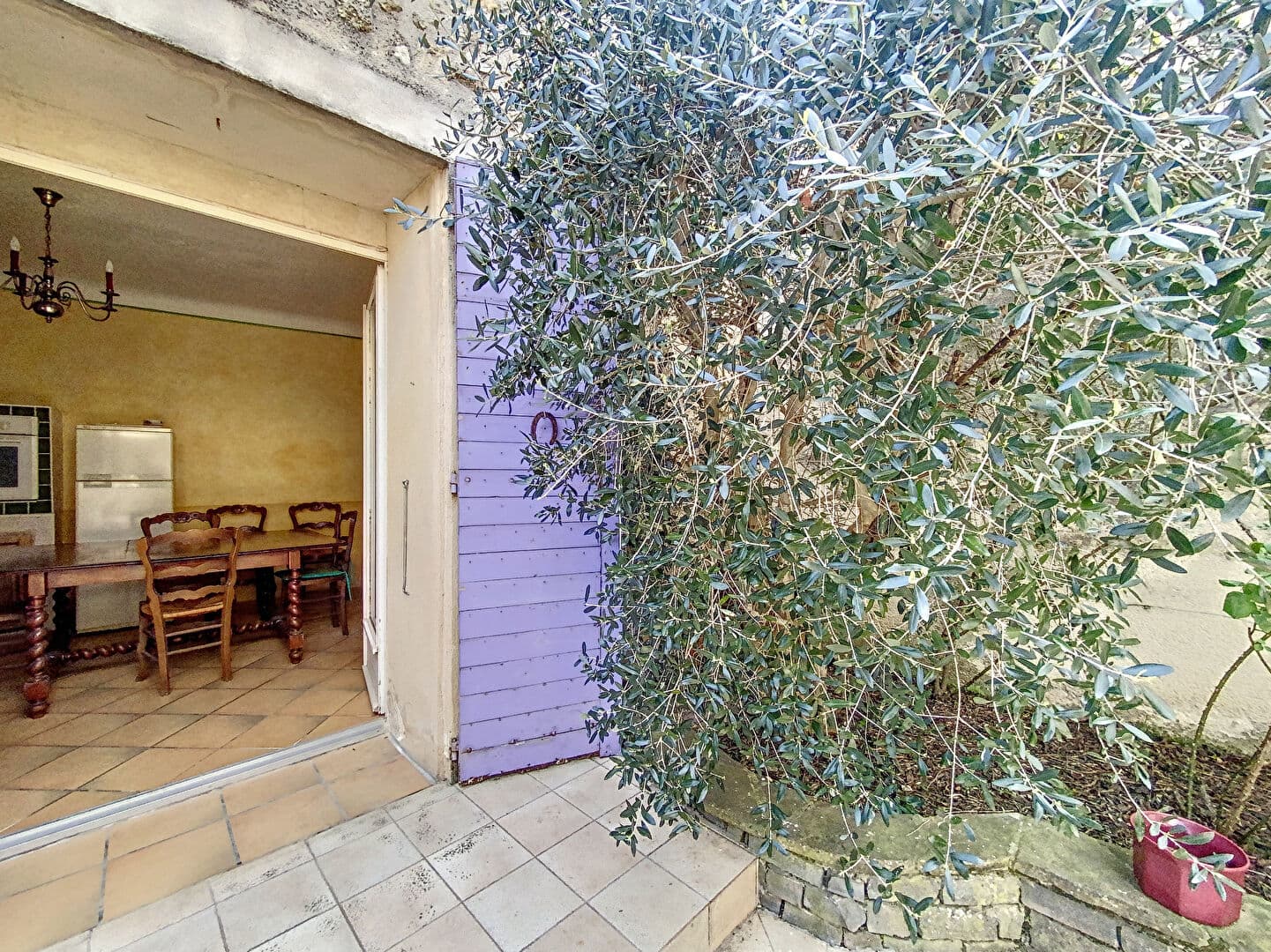 Image 12