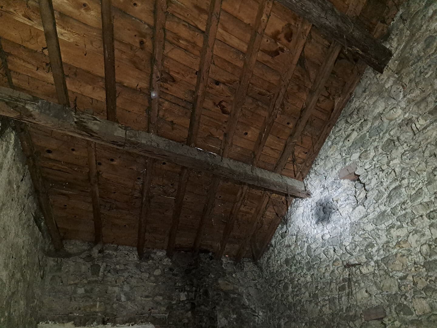 Image 23