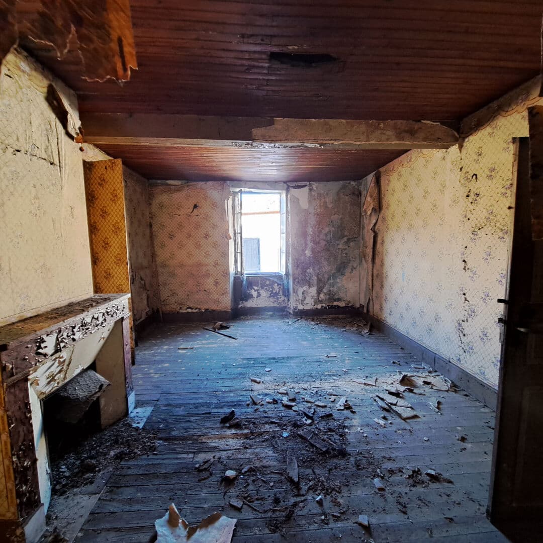 Image 14