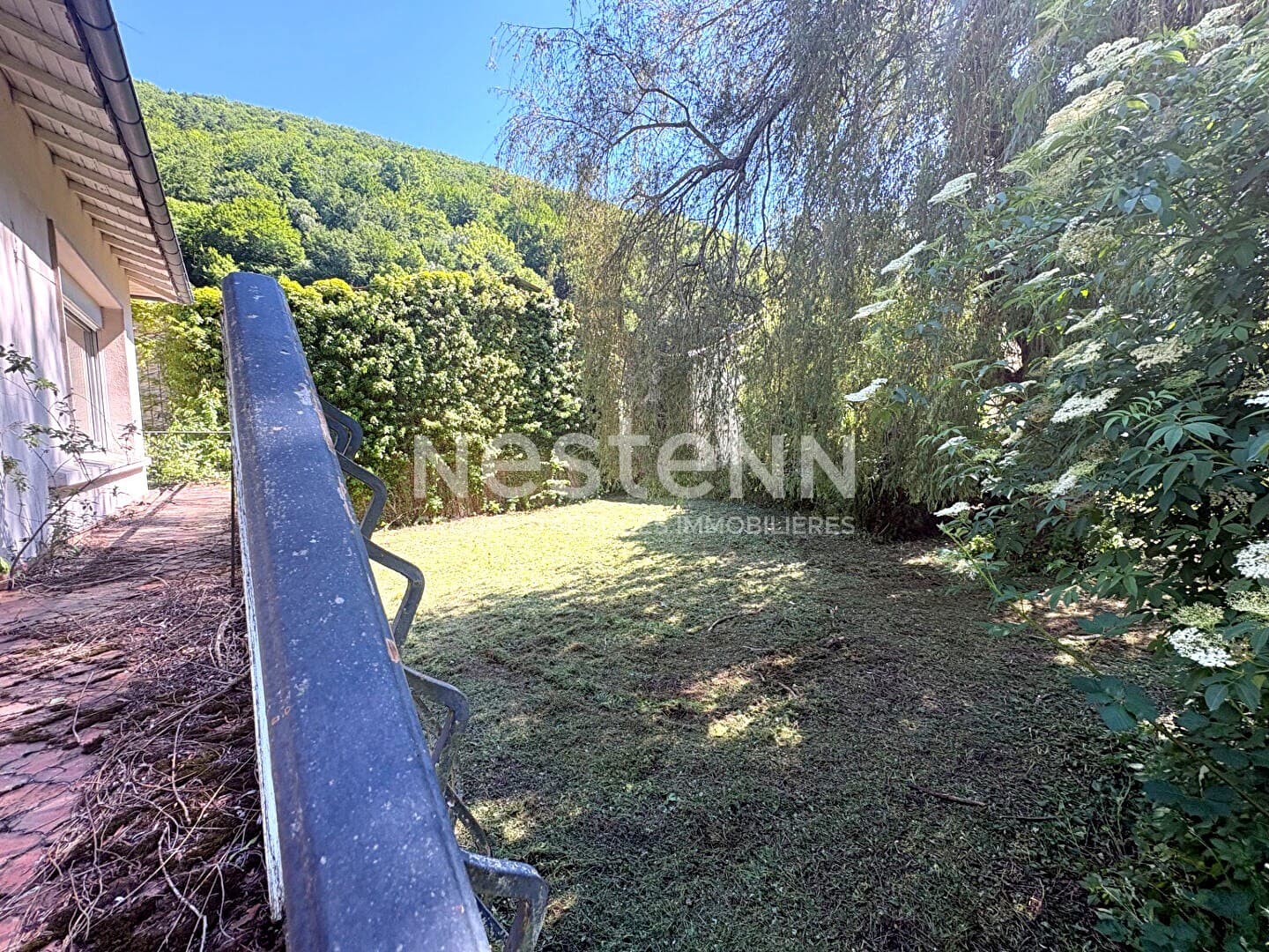 Image 13
