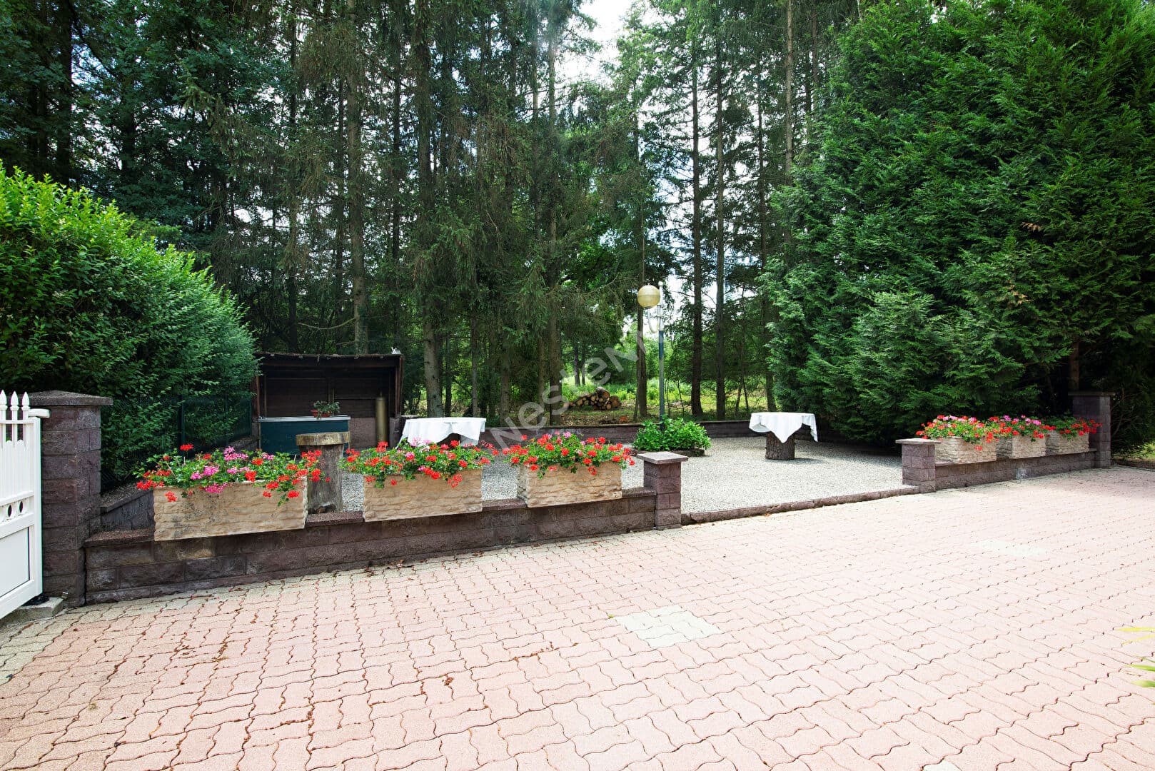 Image 12