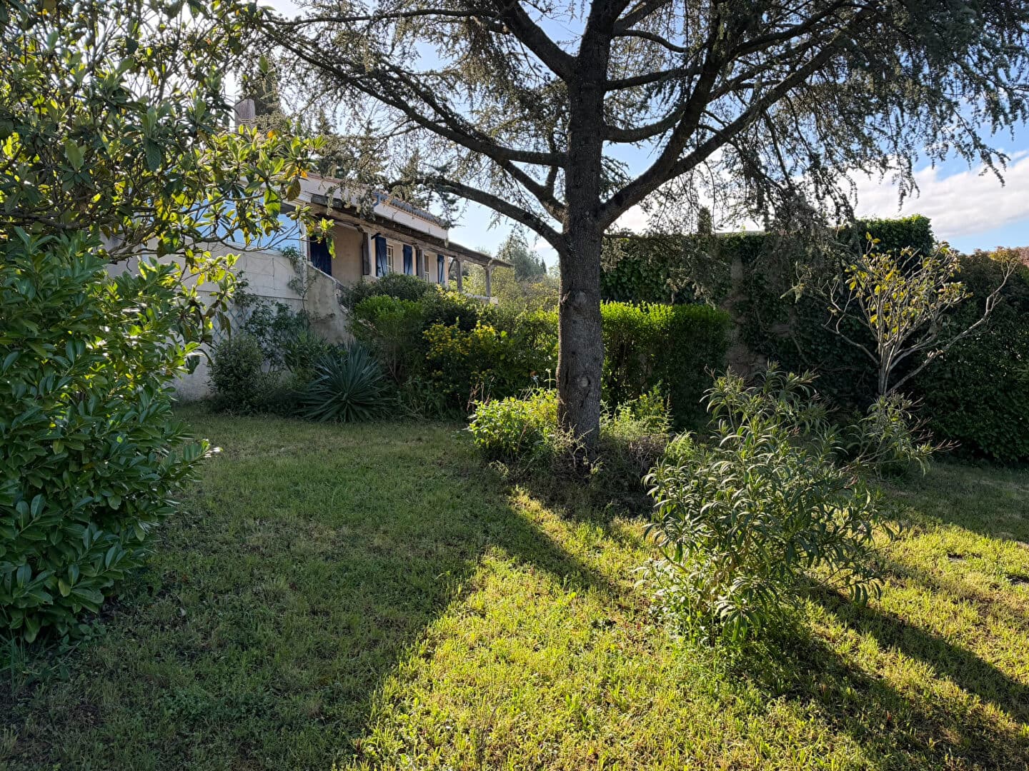 Image 9