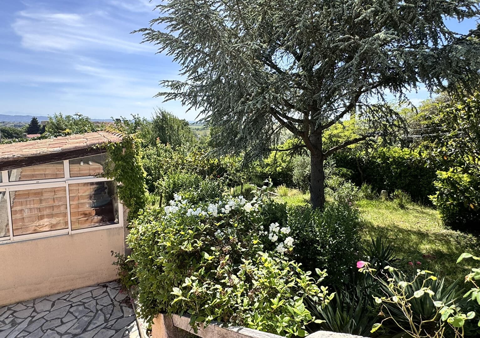 Image 12