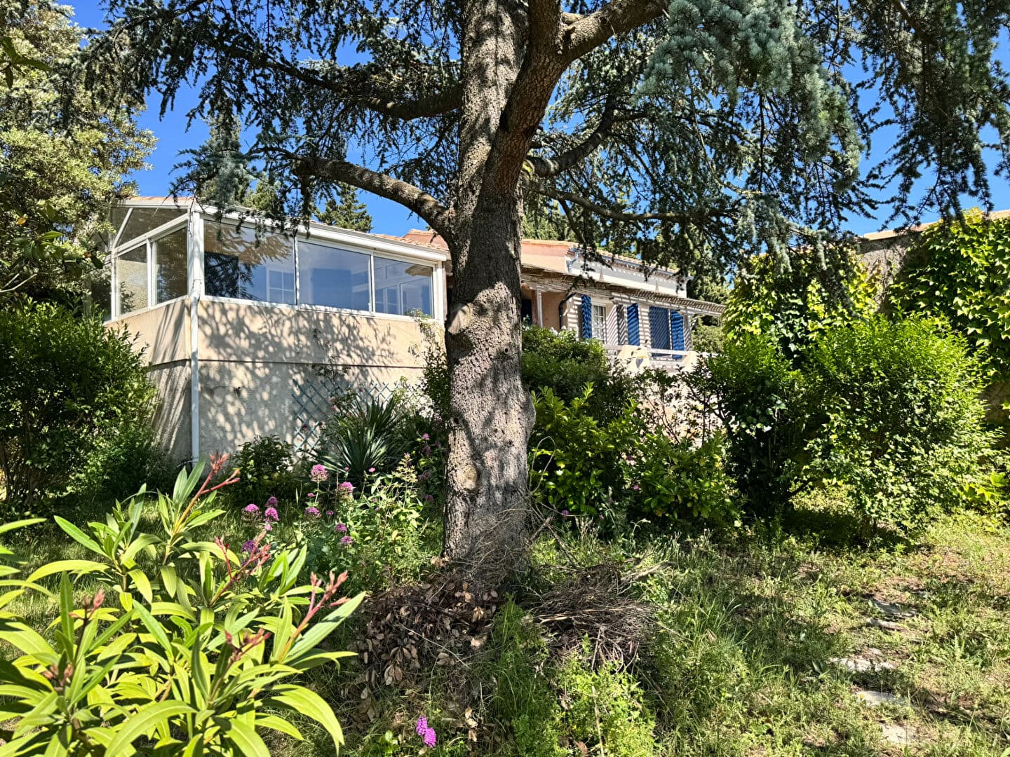 Image 15