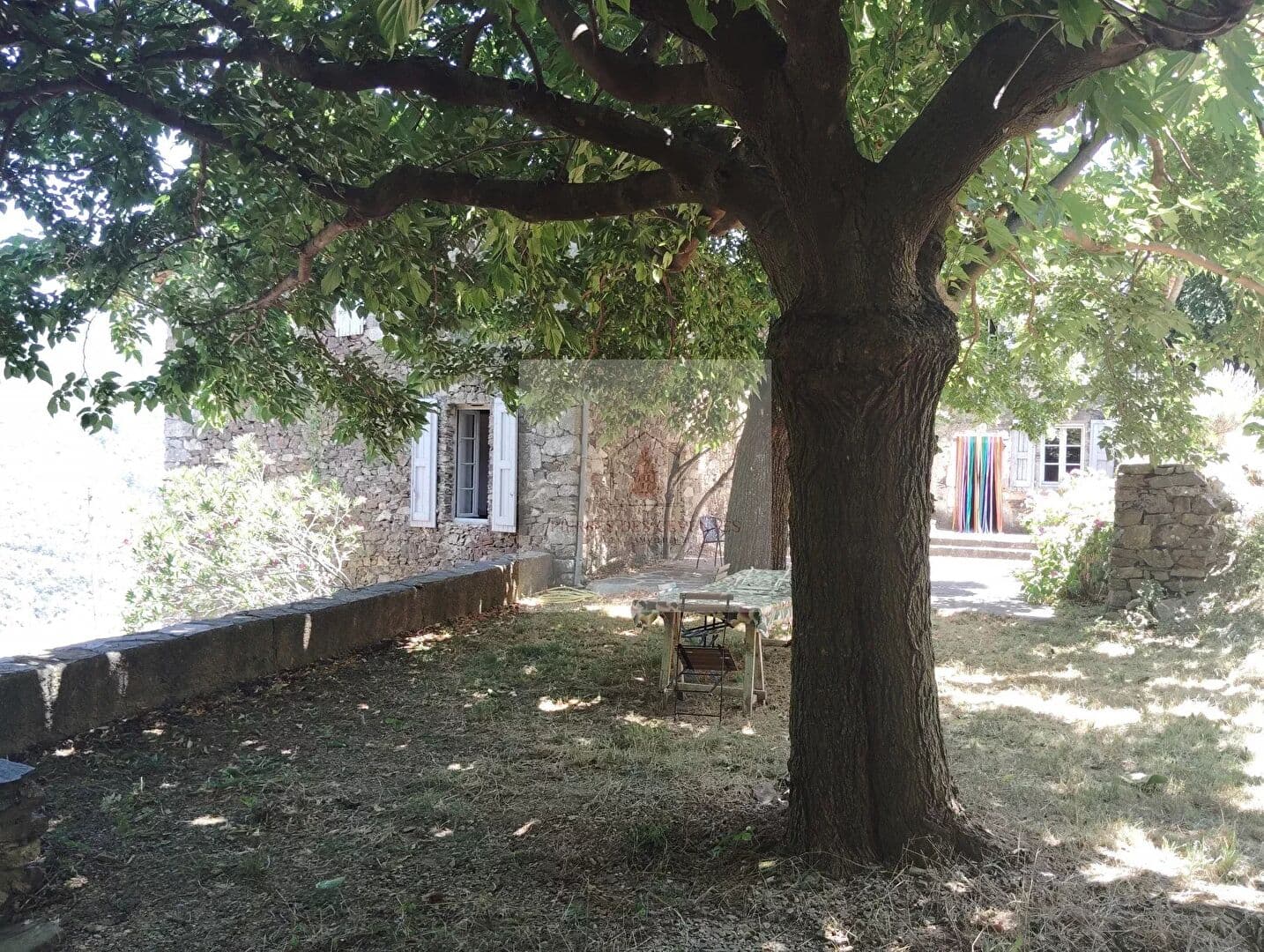 Image 13