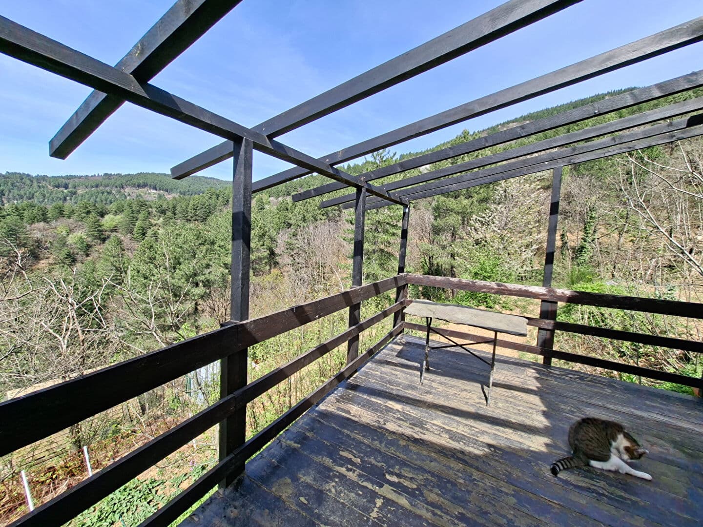 Image 8
