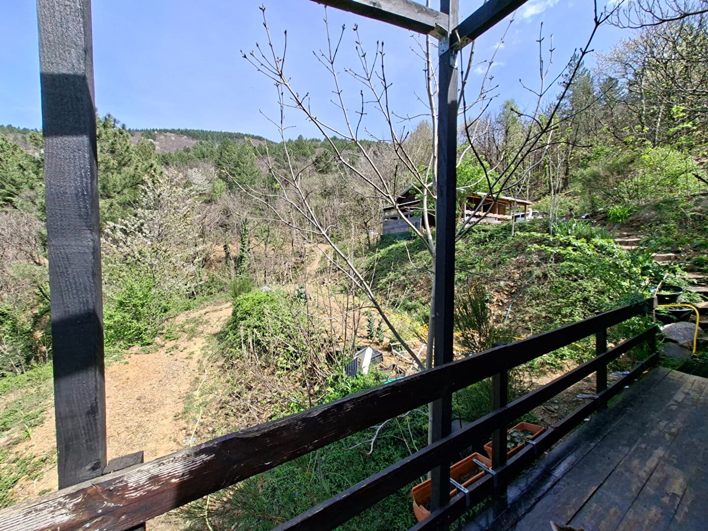 Image 9