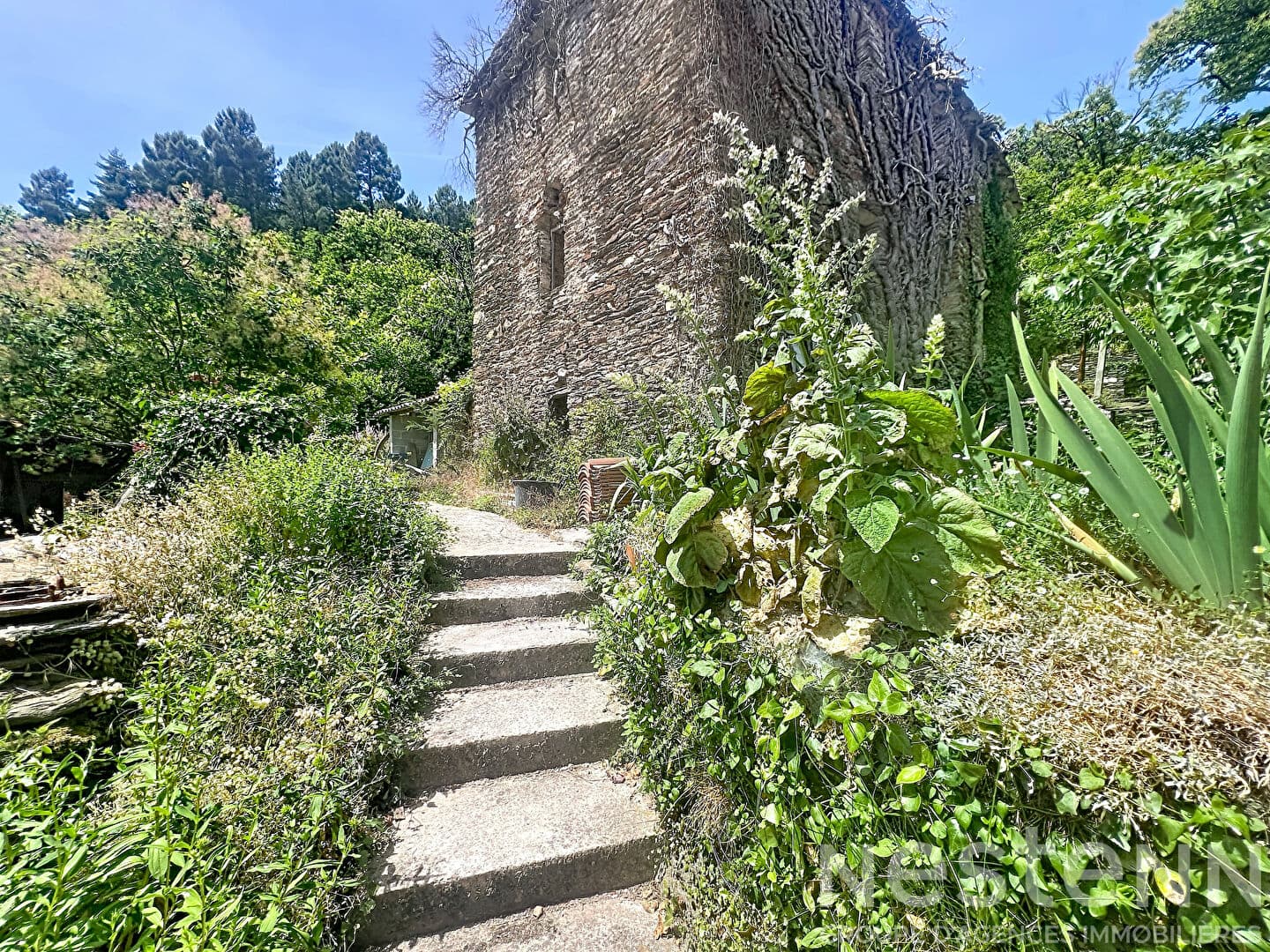 Image 14