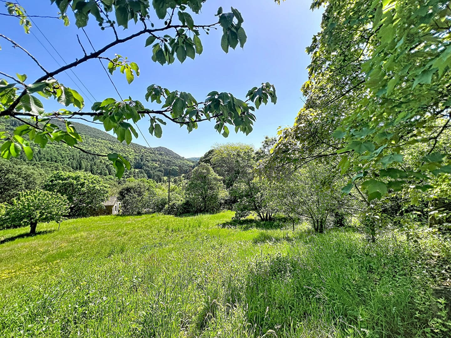 Image 10