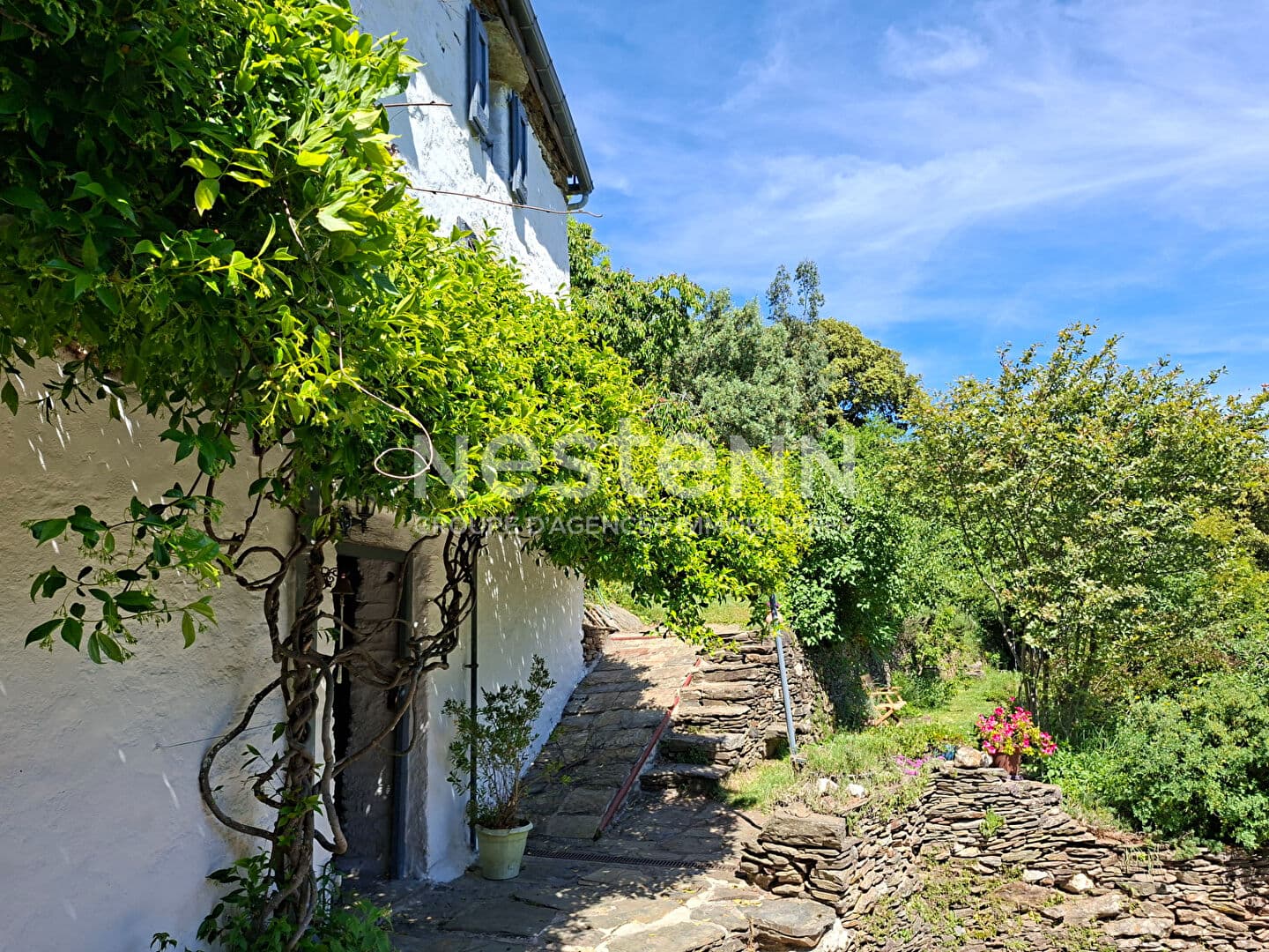 Bien immobilier à vendre à Ventalon En CéVennes 310m²