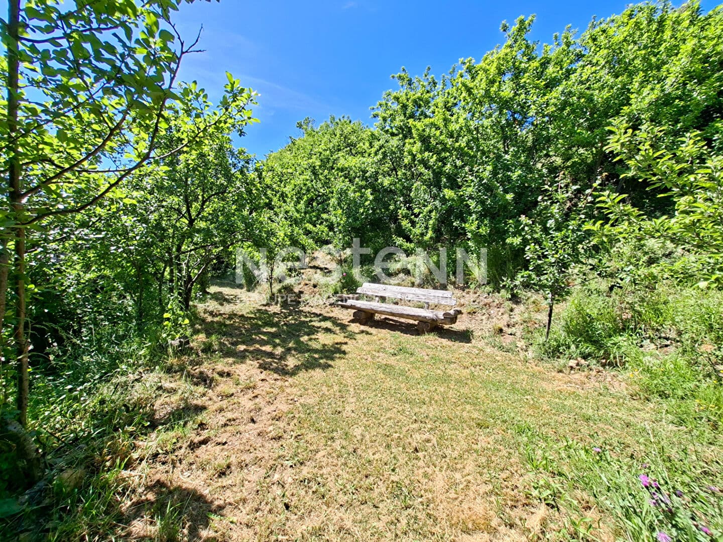 Image 12
