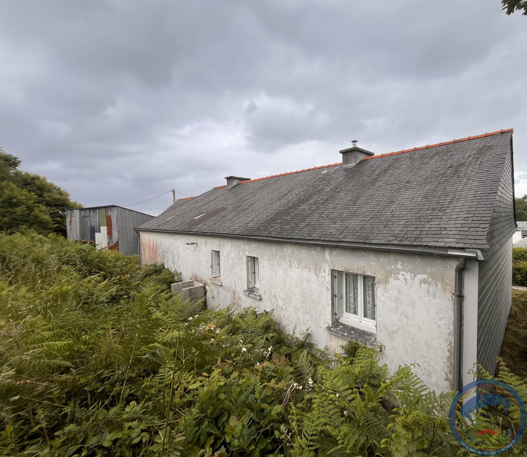 Image 14