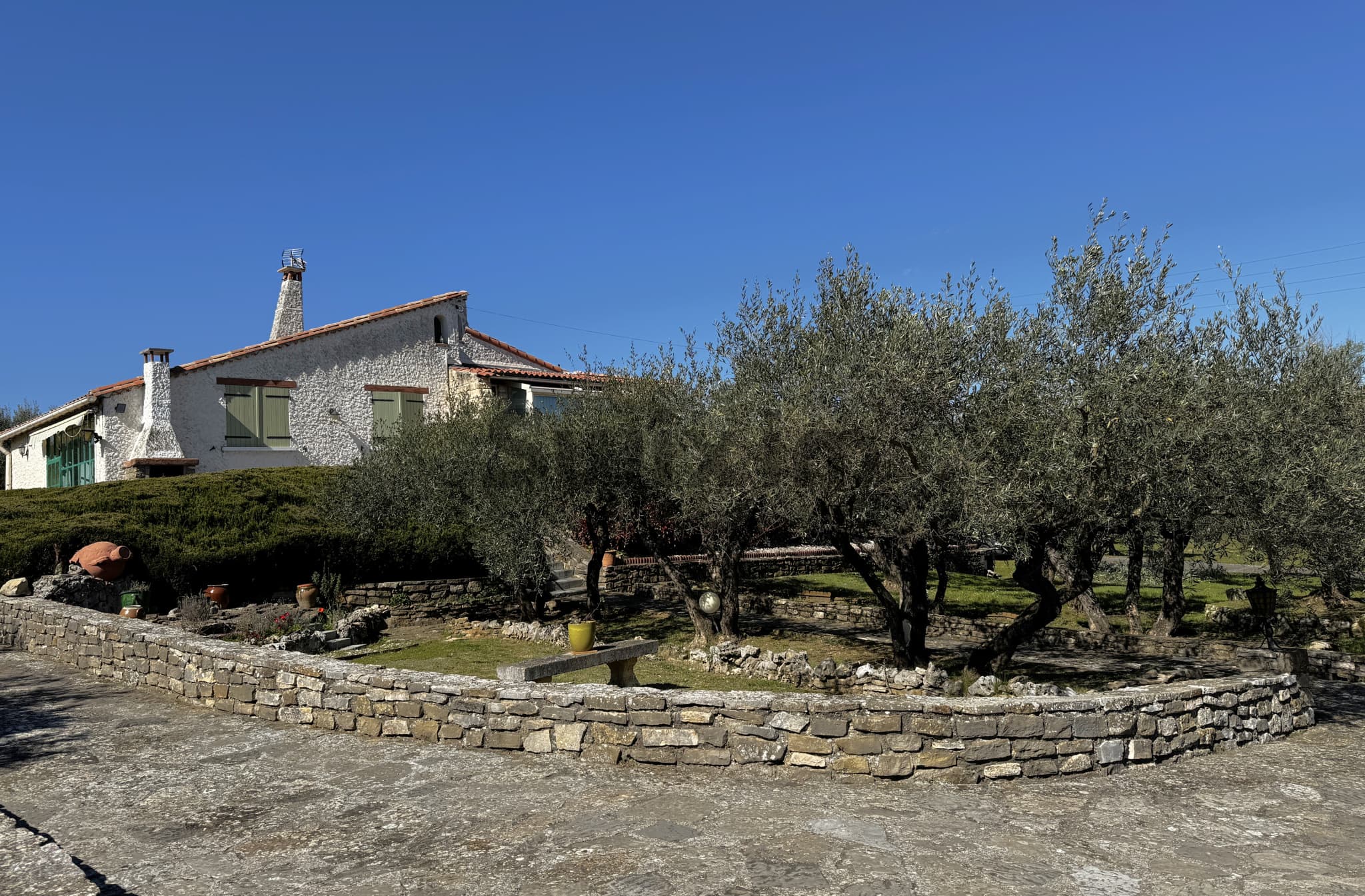 Image 8
